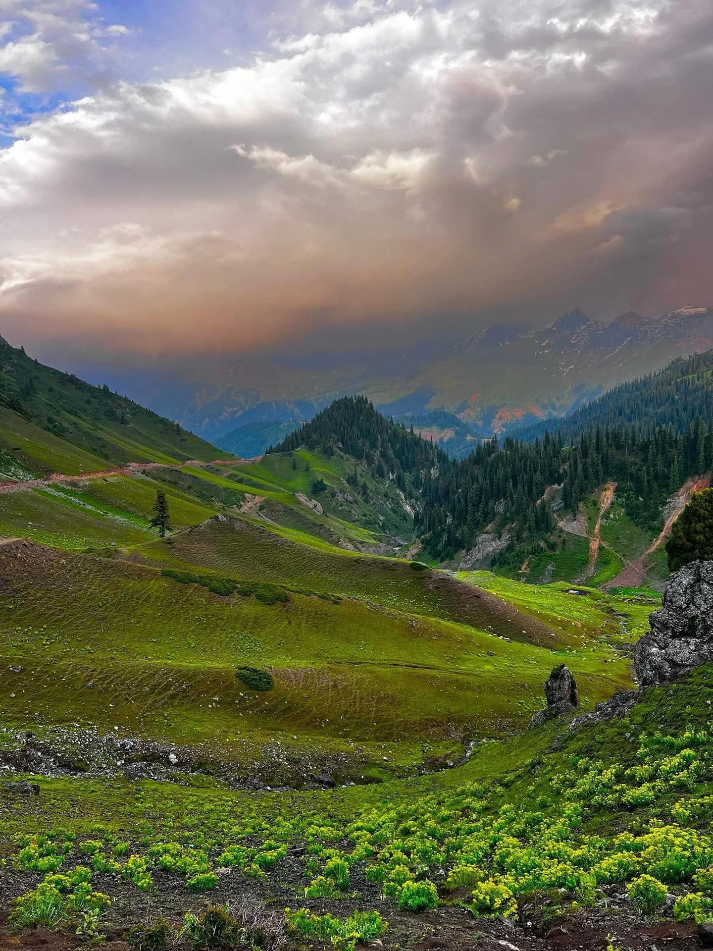Snow-capped peaks towering over green meadows